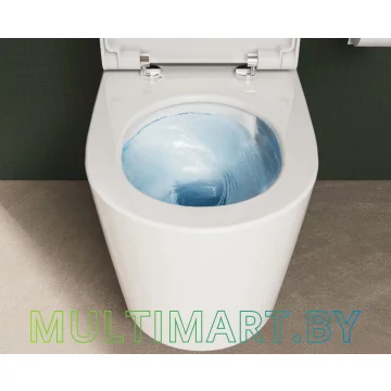 Унитаз Vitra Nest Qflush 7870B403-0075+220-003R409 картинка 6